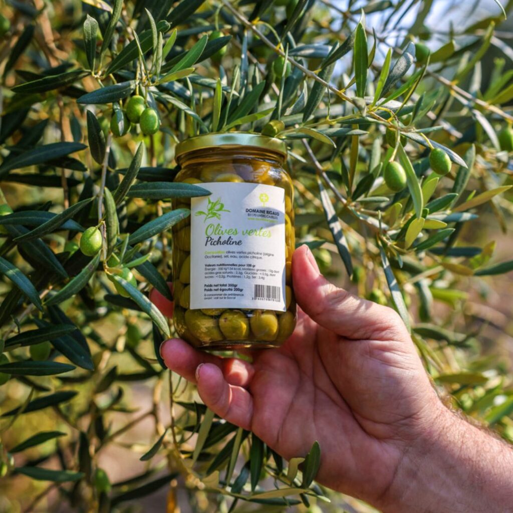 Blog : acheter olives du Tarn .bocal des olives vertes du domaine rigaud devant les feuilles d'un olivier.