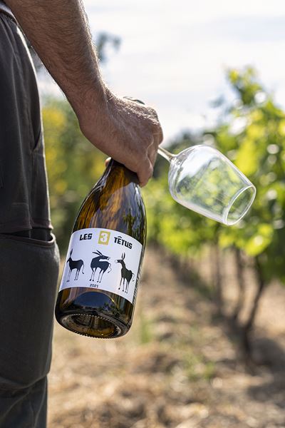 Homme tenant une bouteille de vin à la main avec un verre