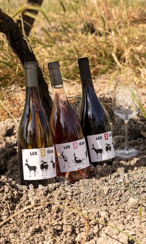 Vignoble Gaillacois trois bouteille de vin posé dans de la terre accompagné d'un verre Les 3 Têtus